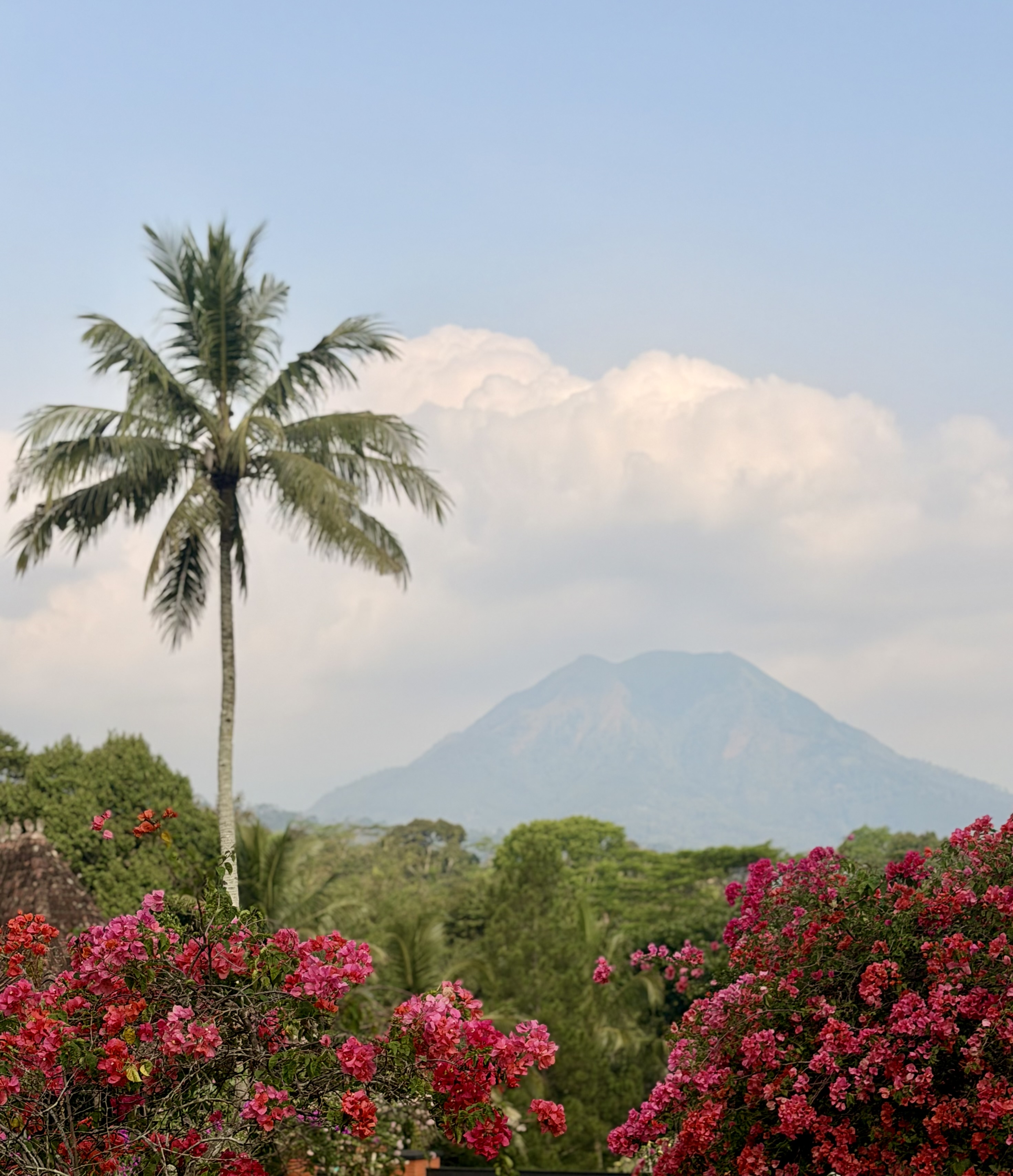 Central Java Countryside