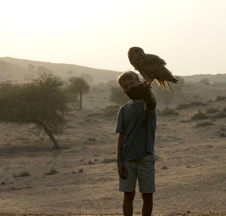 Birds of prey experience
