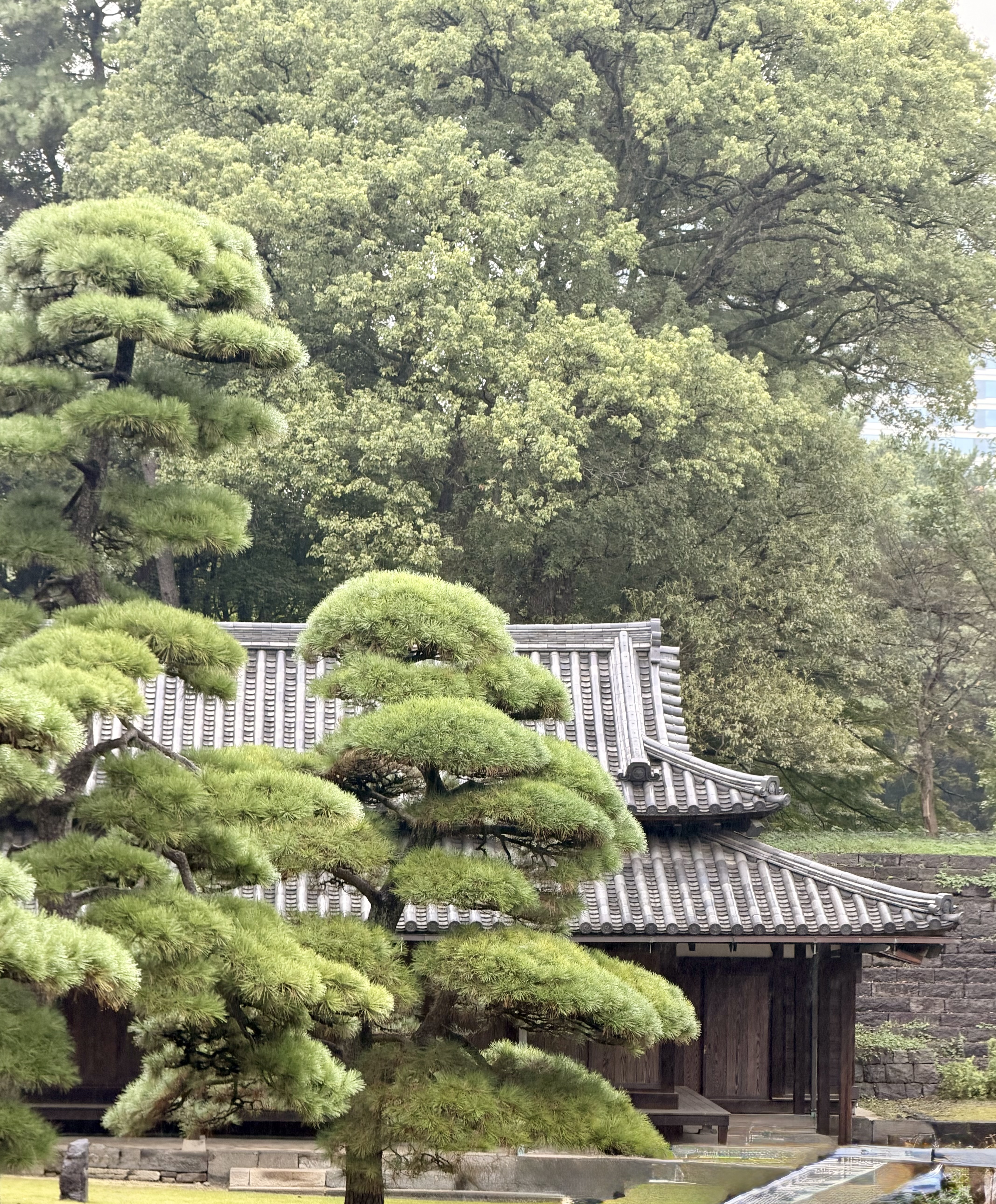 Japanese Culture