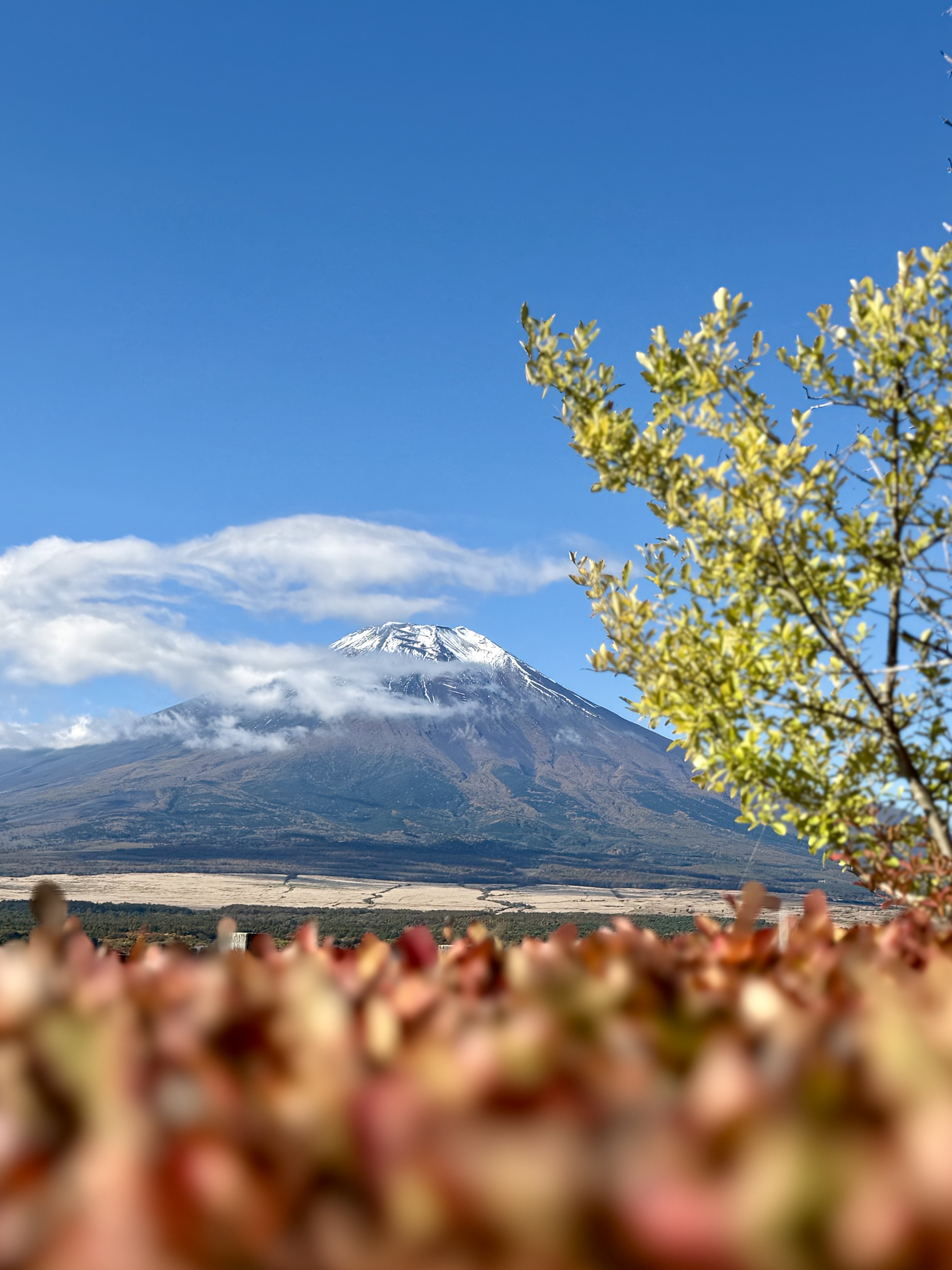 Mount Fuji