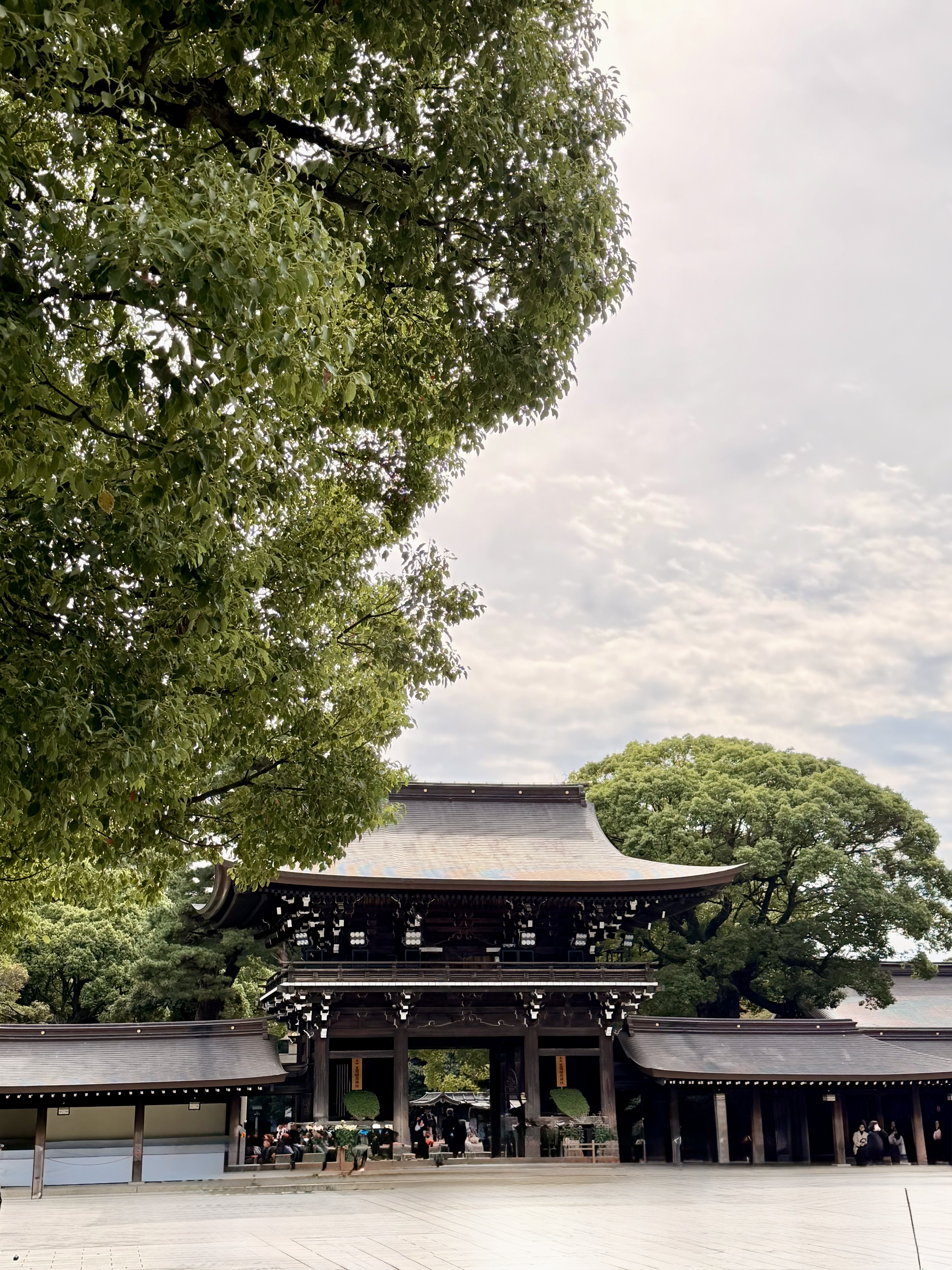 Mount Fuji