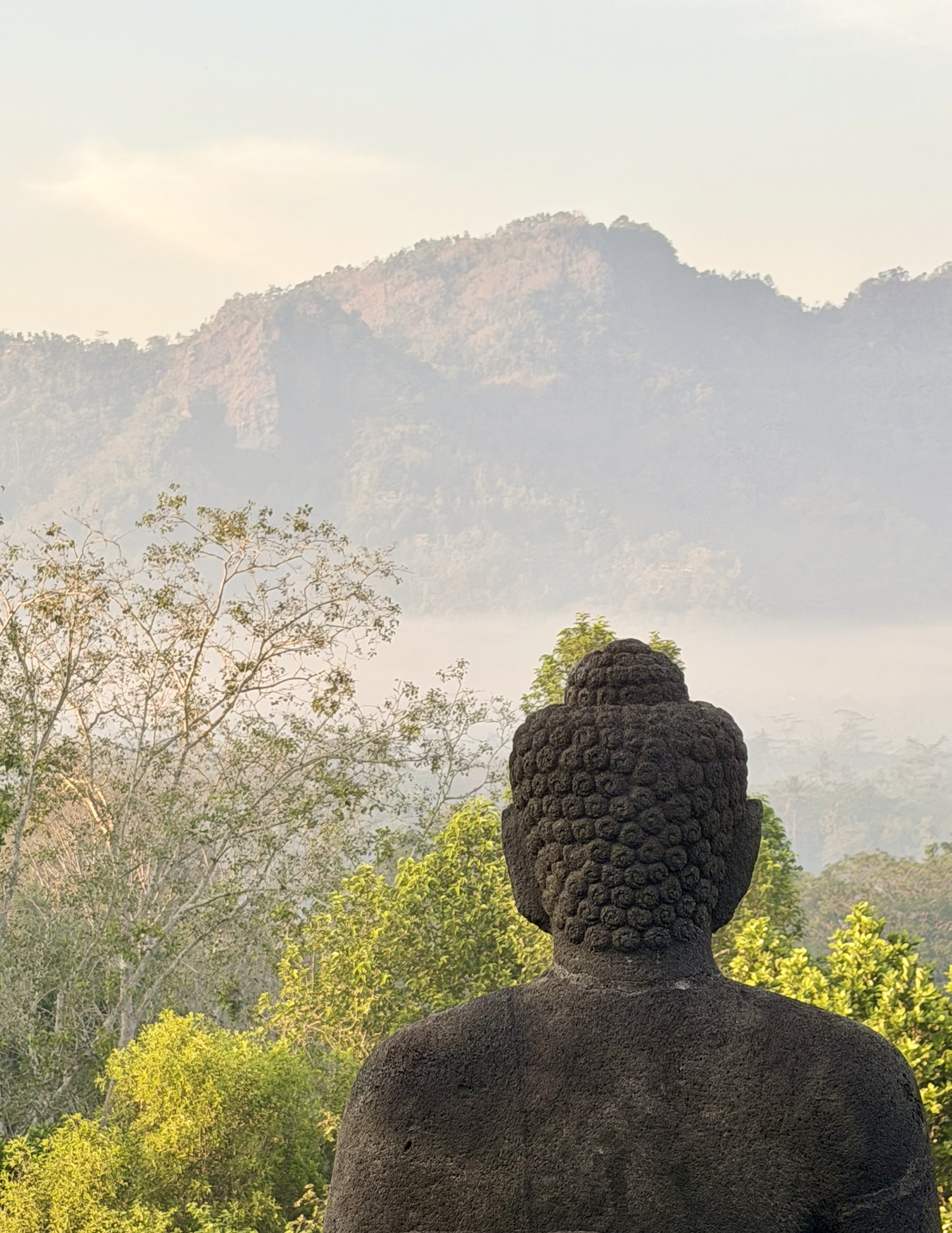 Java village landscape