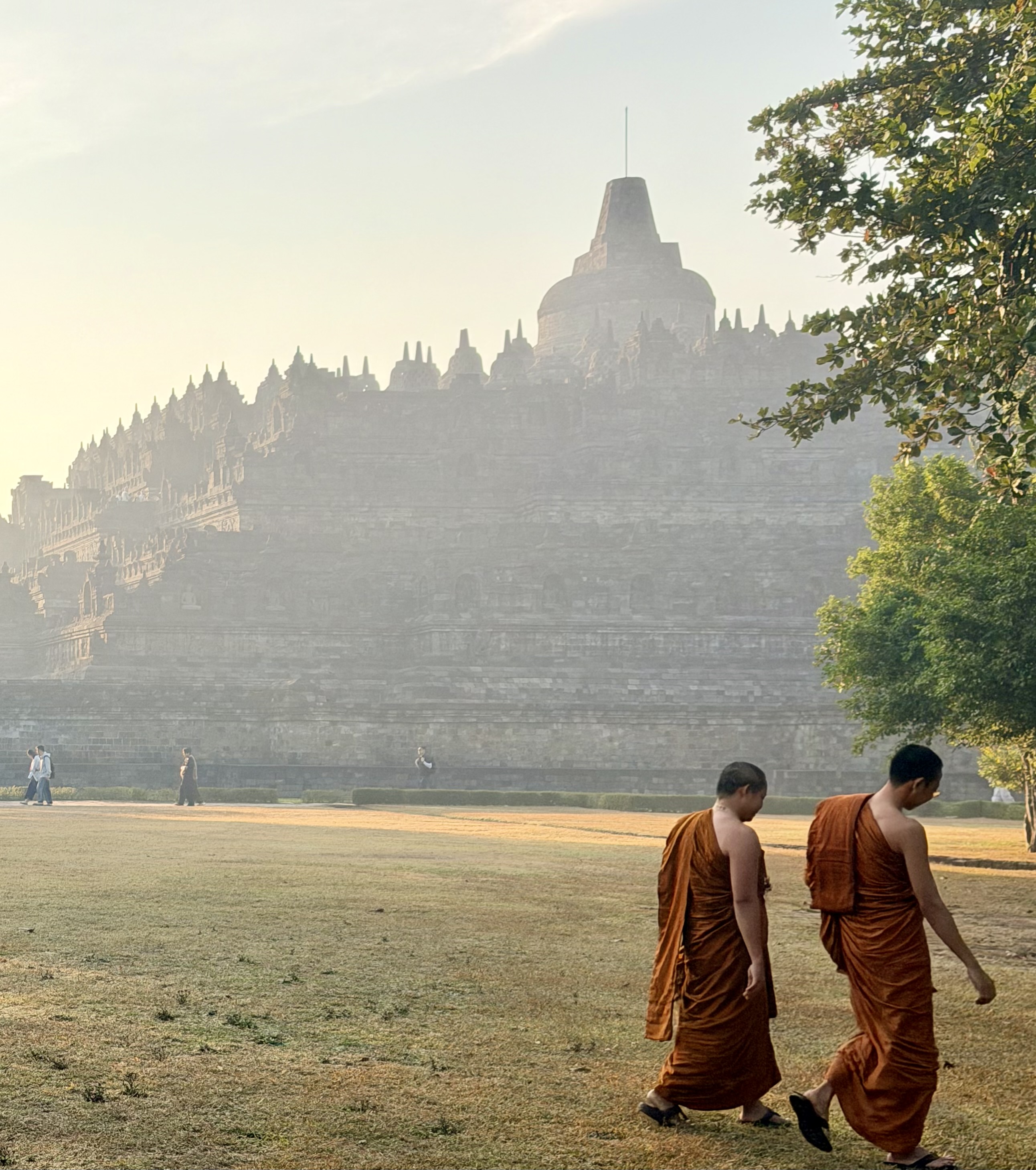 Borobudur and surrounding landscape