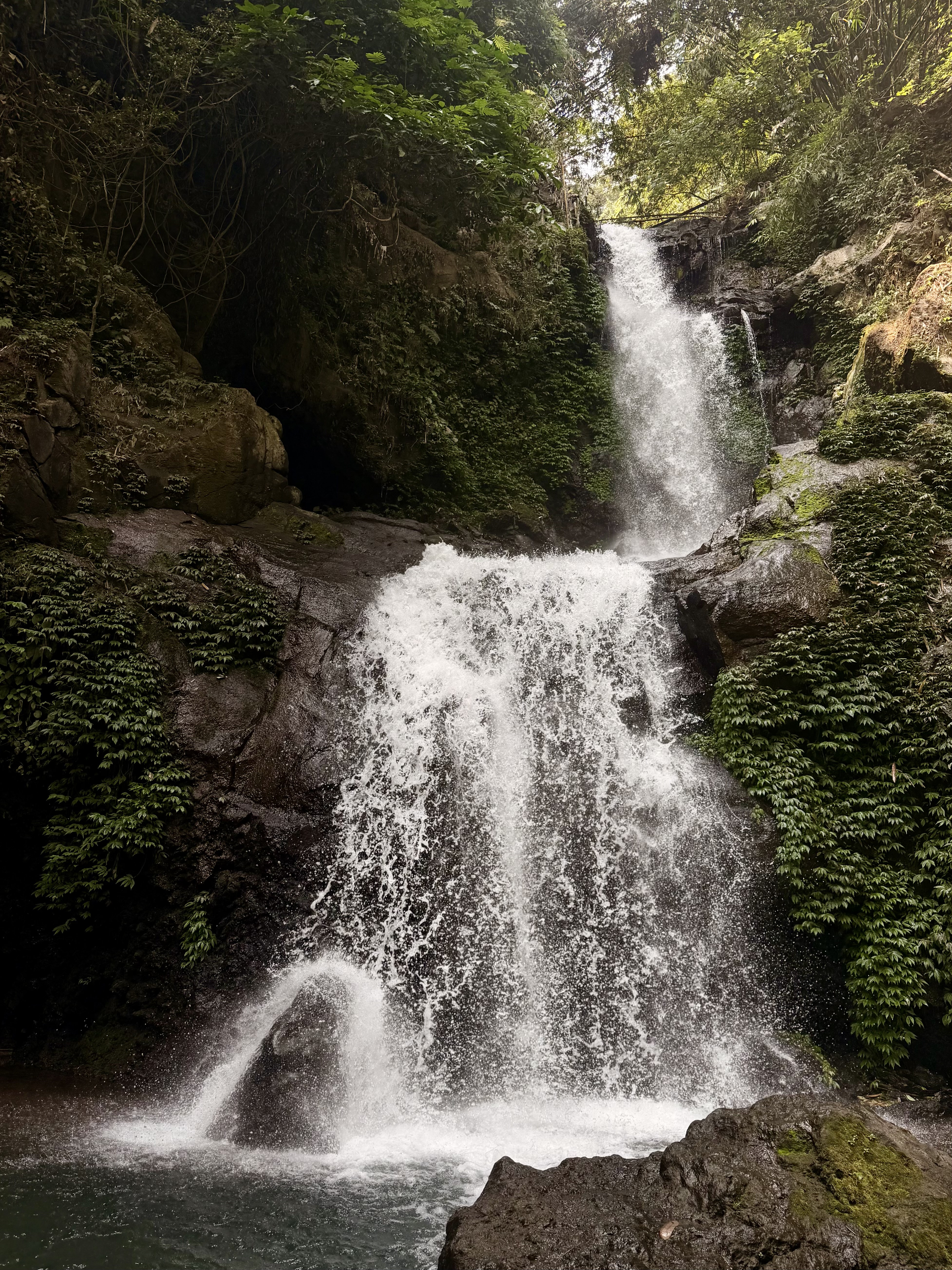 Java landscape