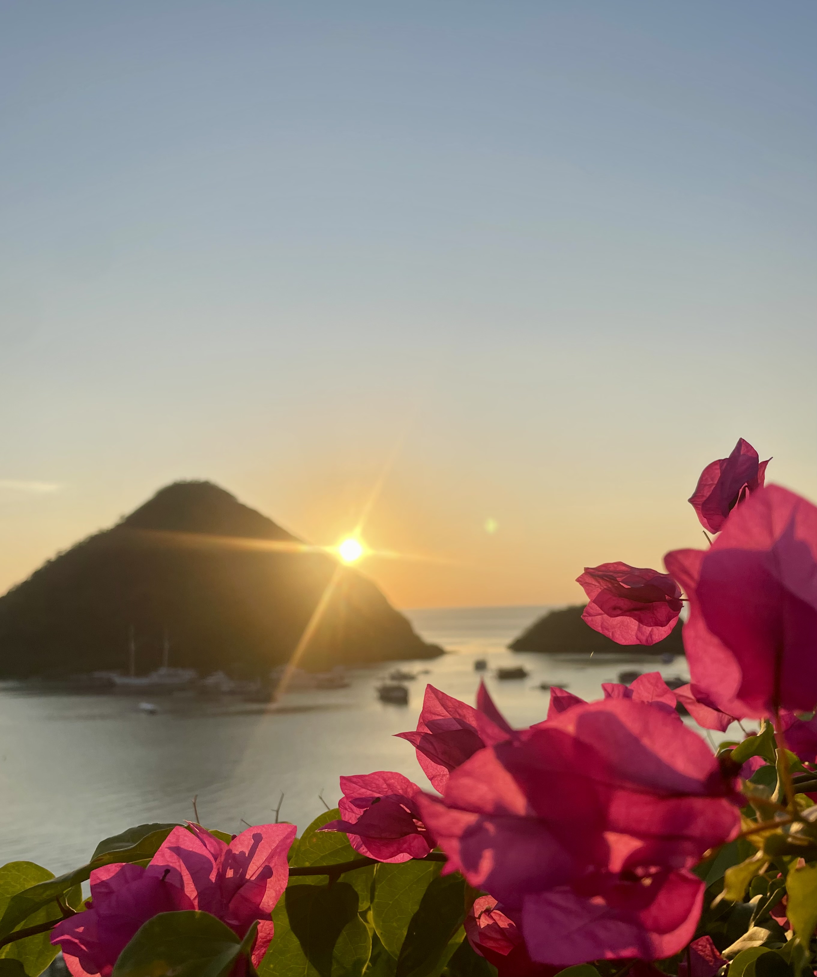 Samara liveaboard in Komodo