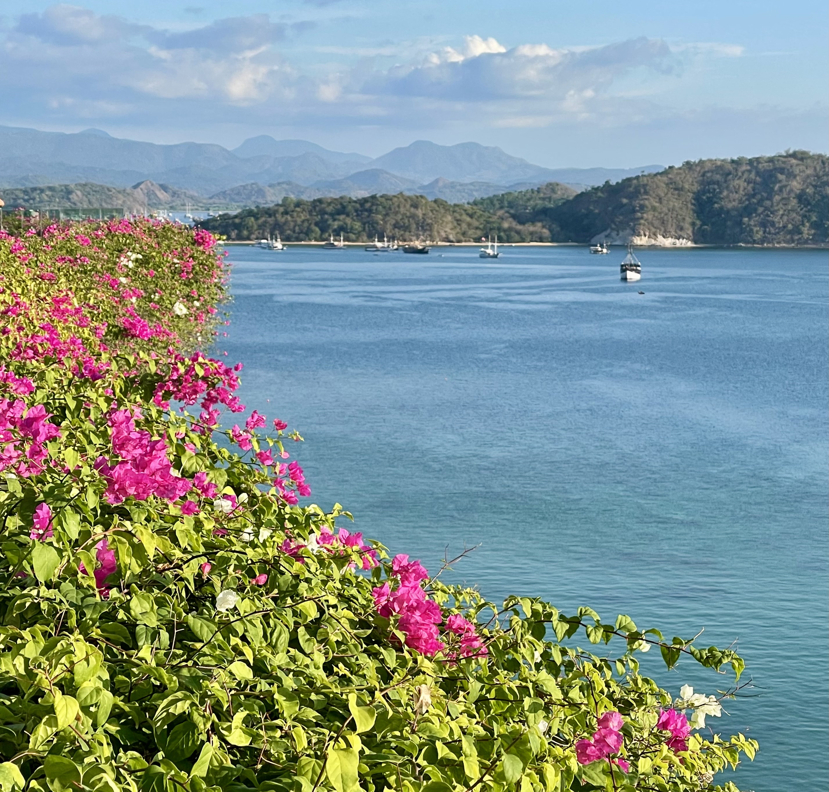 Komodo islands