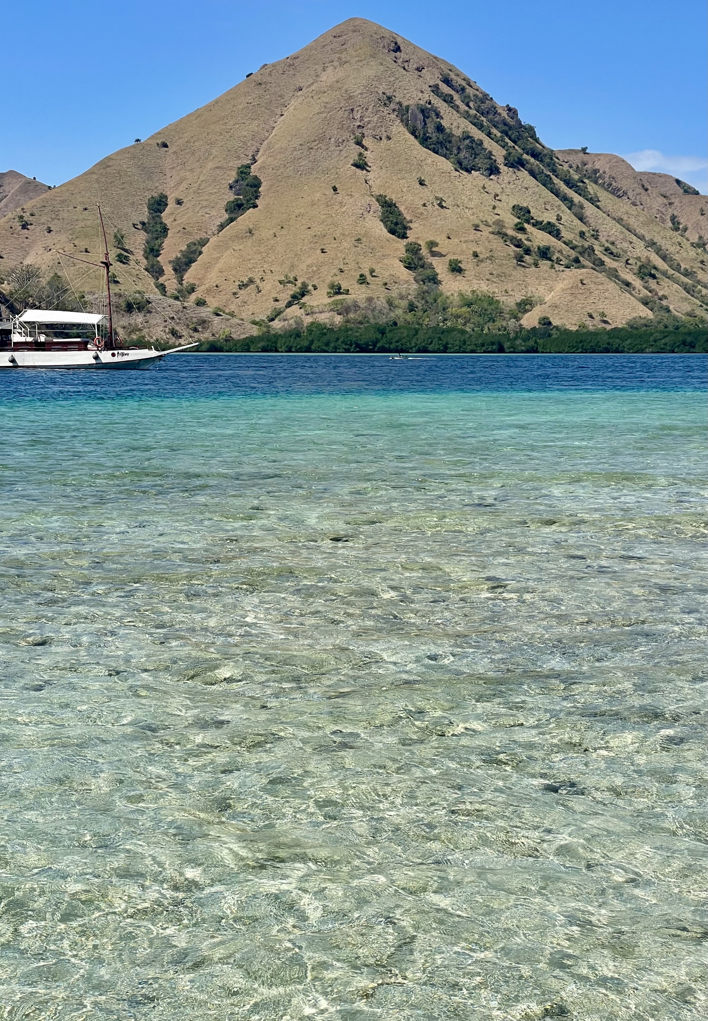 Komodo island landscape