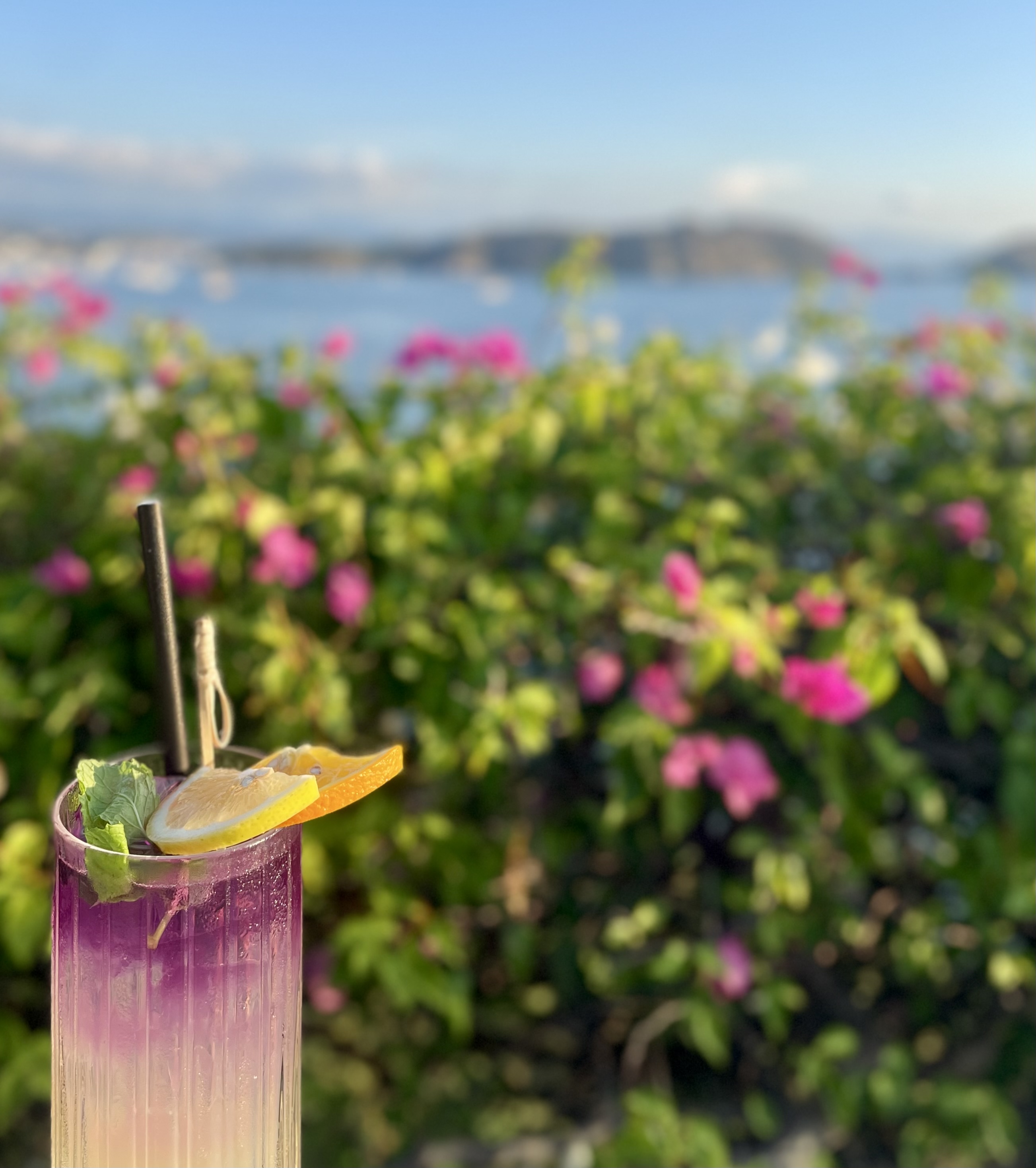 Komodo landscape and sea