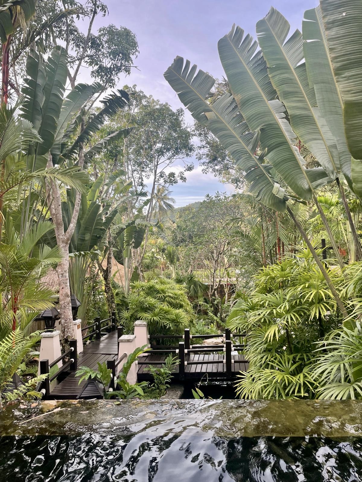Tropical scenery on Koh Lanta