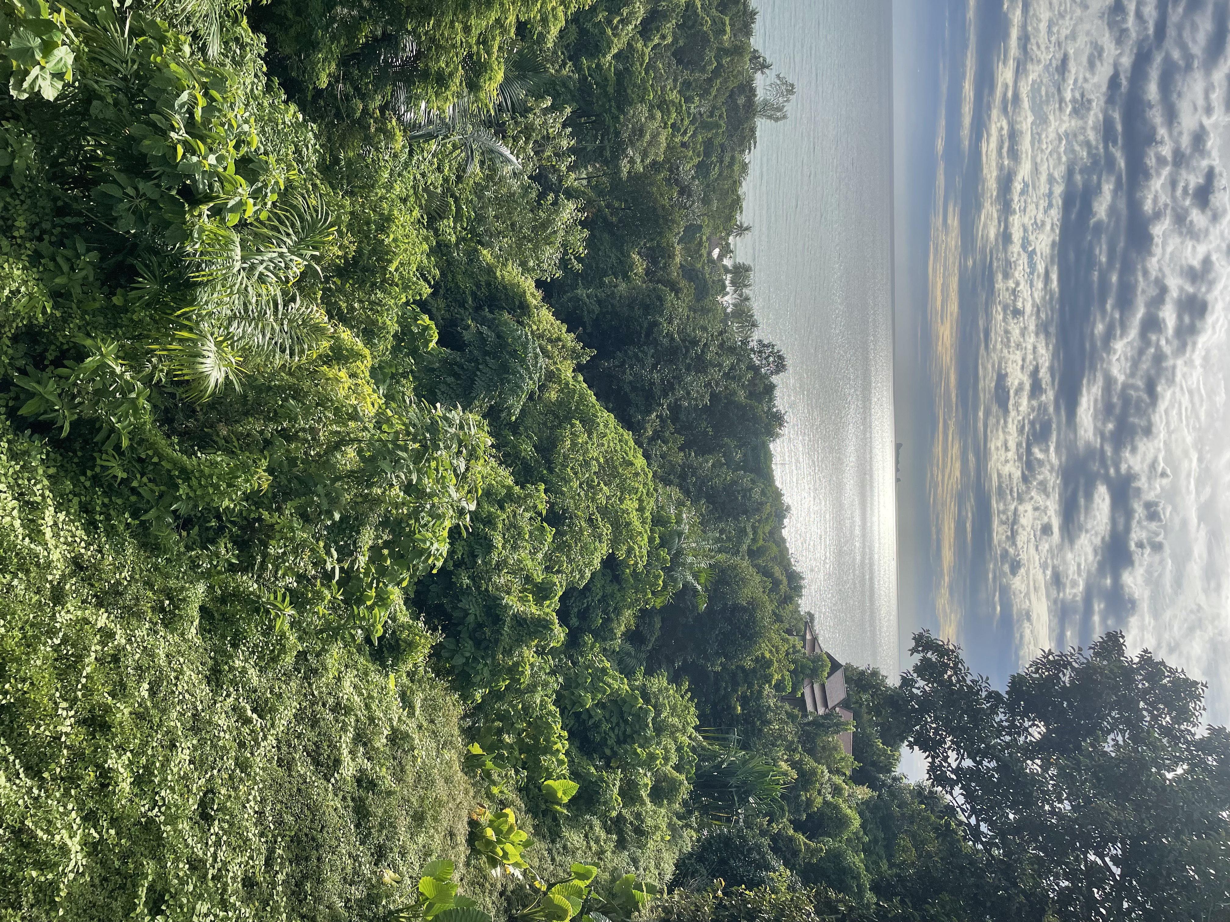 Life around Koh Lanta