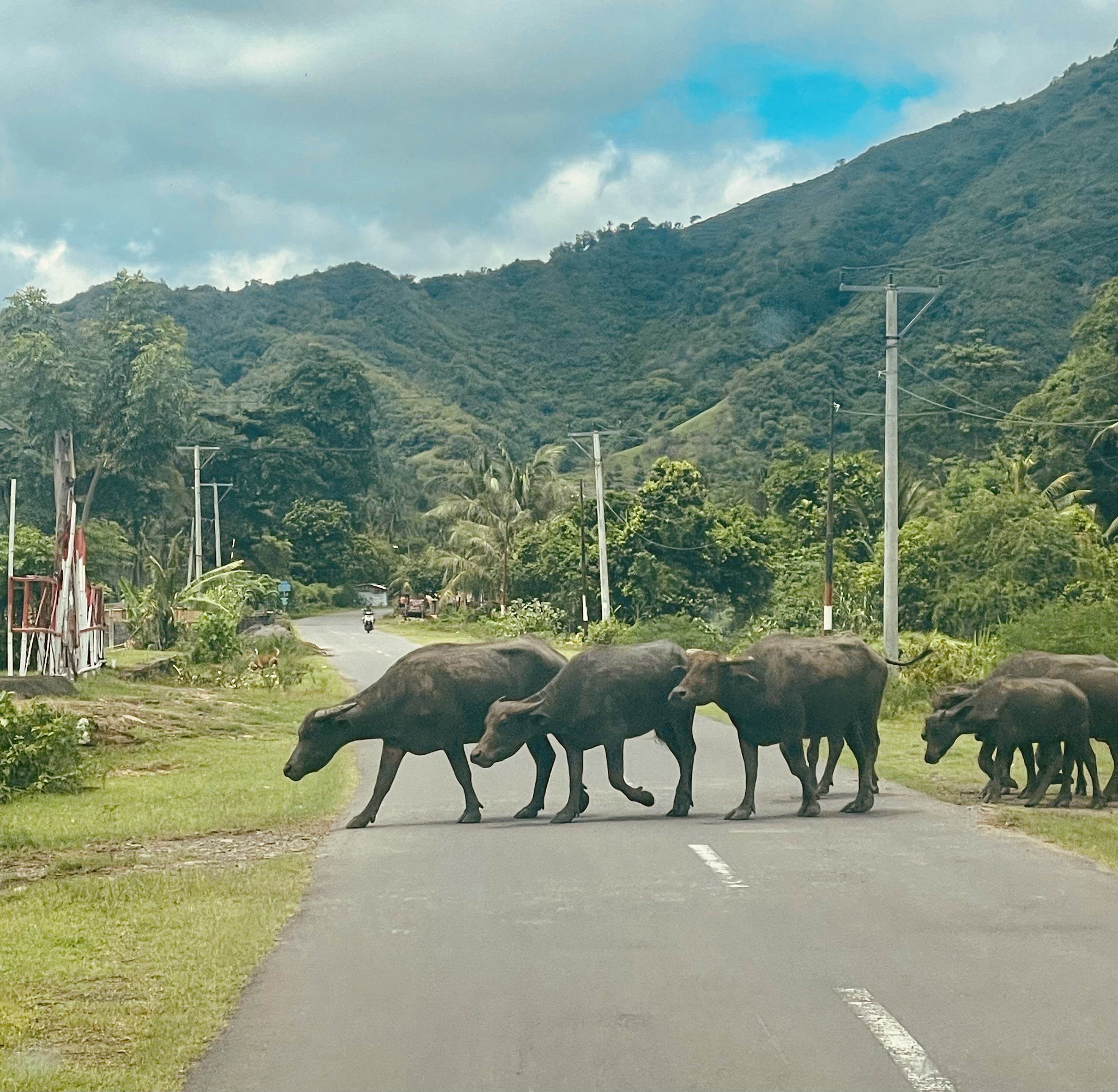 Lombok