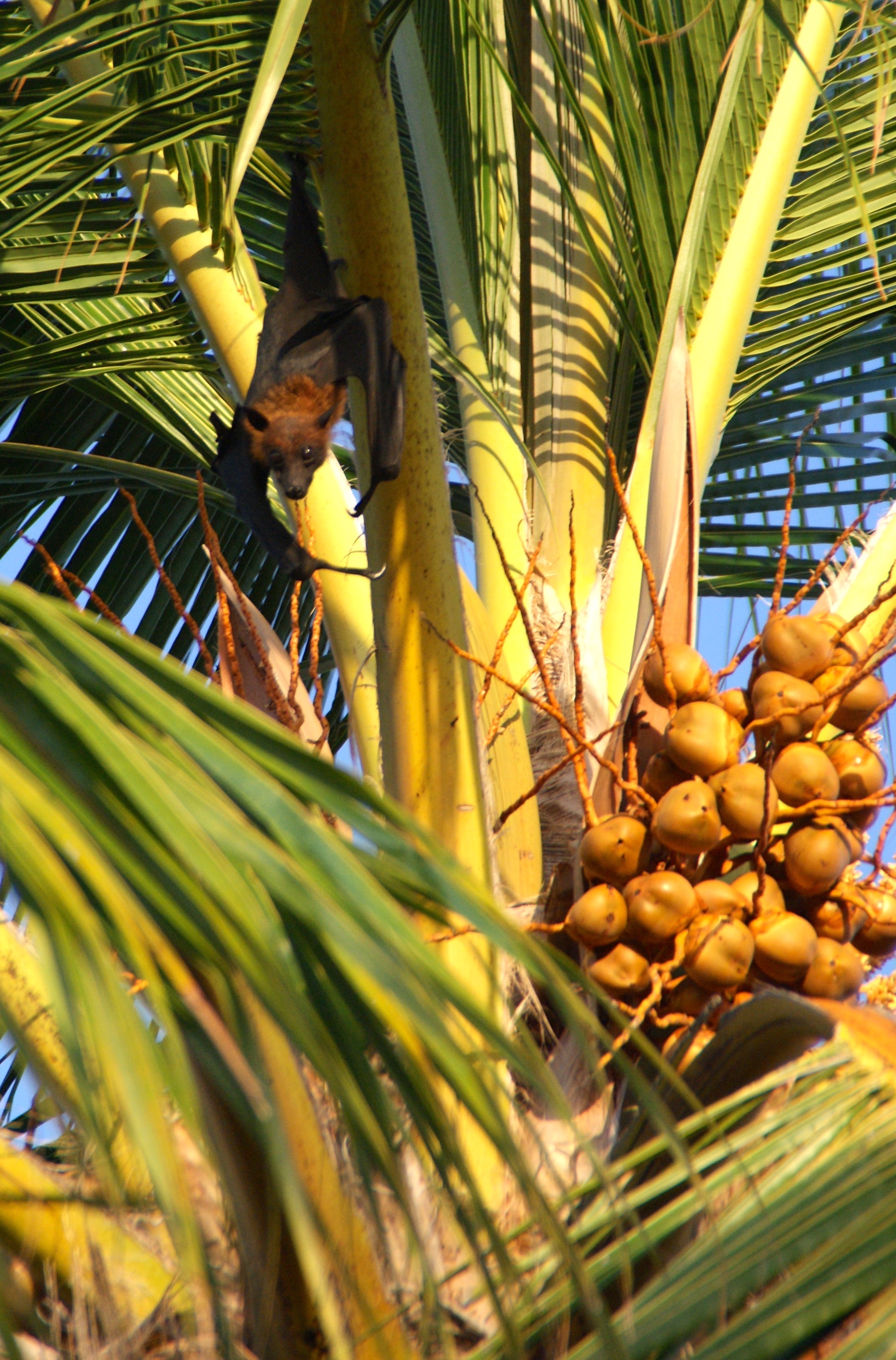 Life around the island