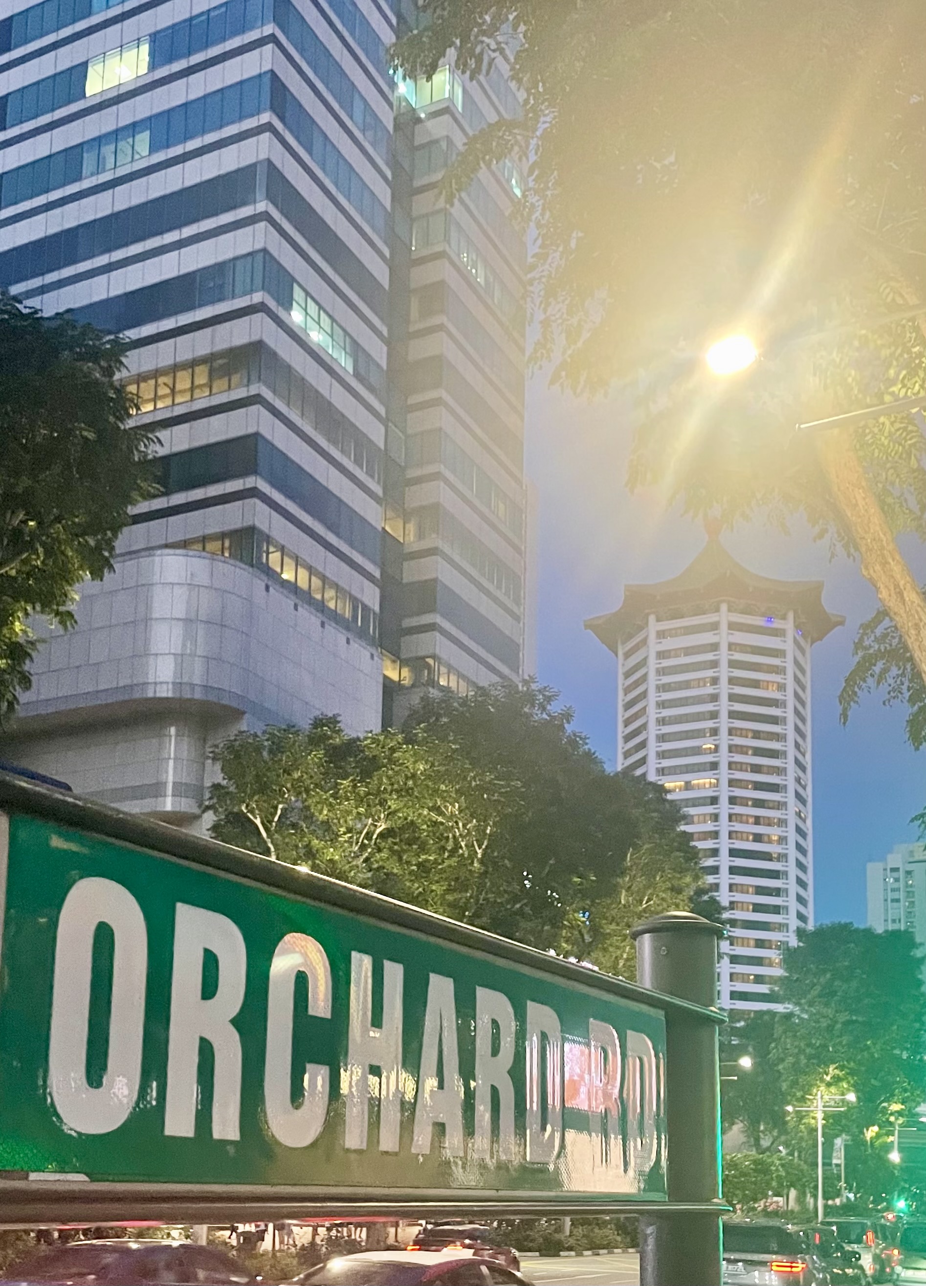 Singapore architecture framed by trees