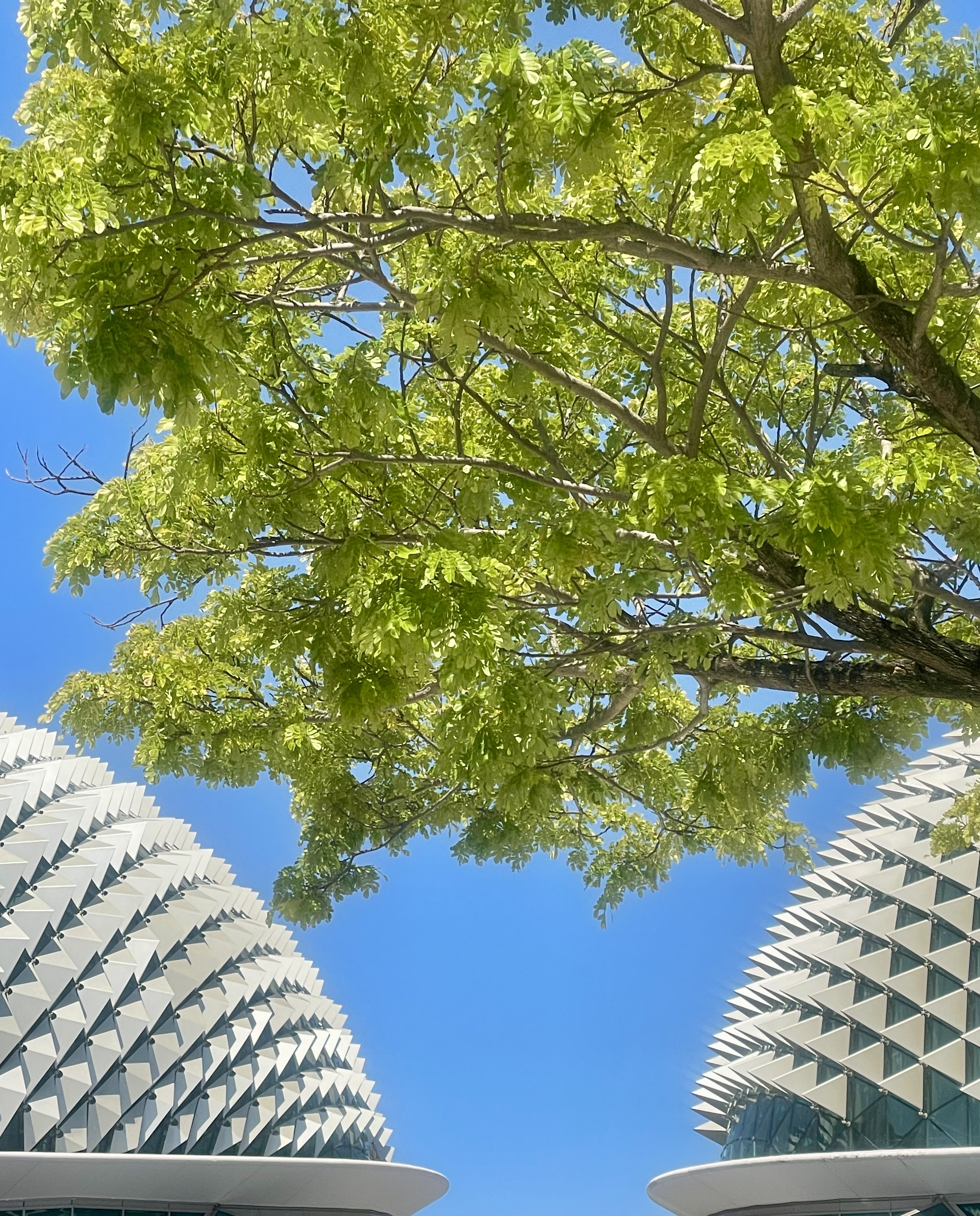 Singapore skyline reflected across the water