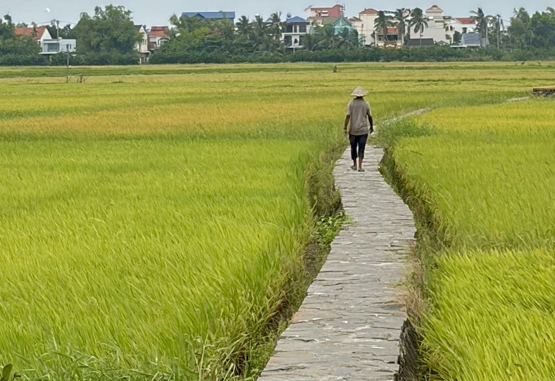 Vietnam