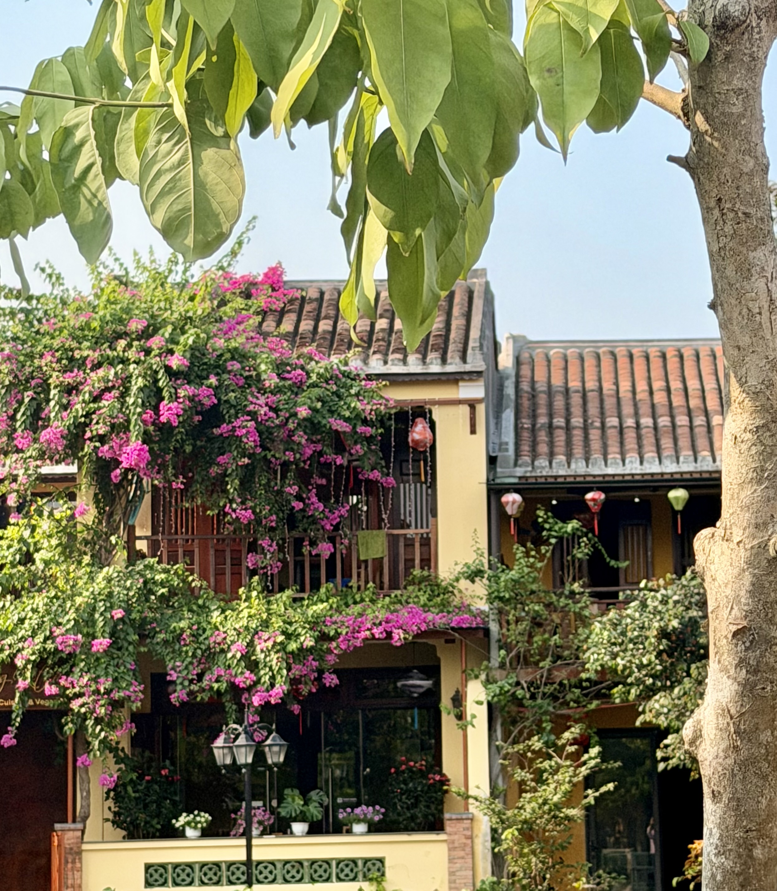 Hoi An